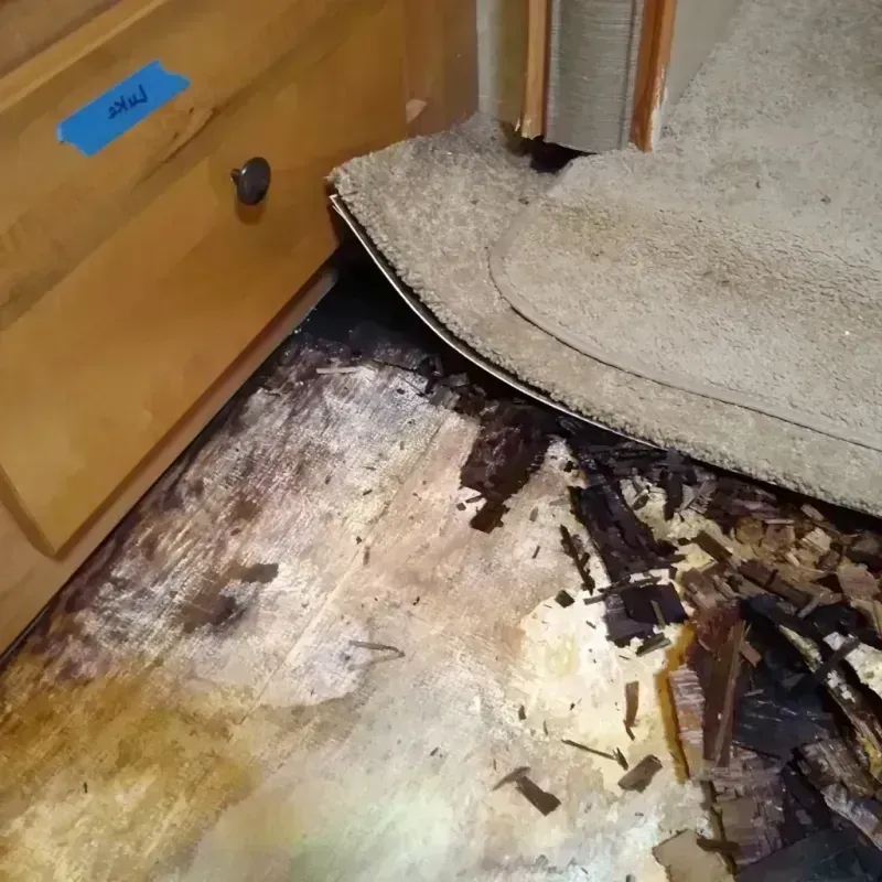 Wood Floor Water Damage in Murfreesboro, TN